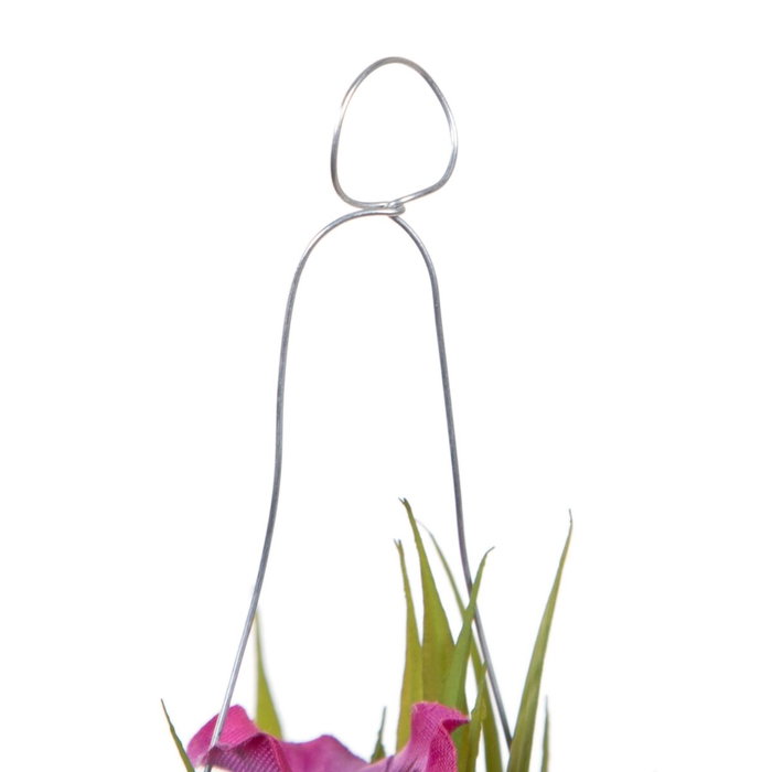 BigBuy Home Plante décorative Vert et Rose BigBuy Home Plante décorative Vert et Rose