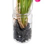 BigBuy Home Plante décorative Vert et Rose