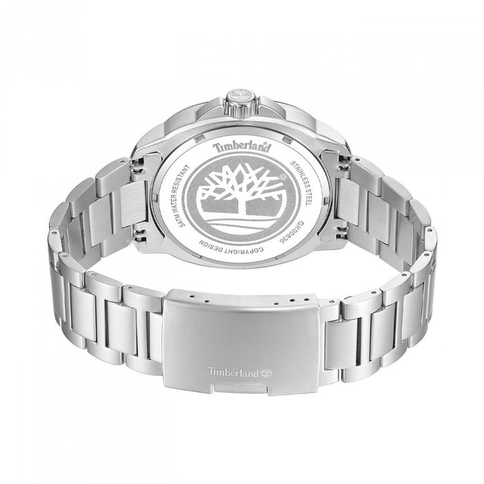 Montre Homme Timberland SWANSEY Bleu