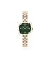 Daniel Wellington DW00100721 Rose et Vert