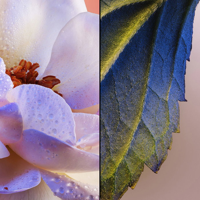 Guerlain Idylle Eau de Parfum Vapo 75 ml