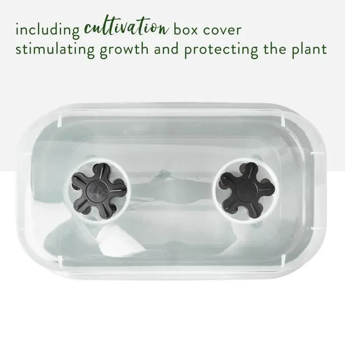 Elho Bac à Culture Green Basics Allin1 Large - Bac Carré 39 x 23 x 15 cm, 100% Recyclé, avec Réservoir d'eau Intégré, Noir