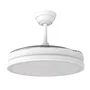 Martina Ventilateur de plafond avec lumière LED 48W (5040lm) 3 vitesses couleur réglable 3500K/4000K/6500K fonction été/hiver télécommande et timer diamètre 48.5-106cm