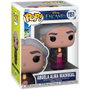 FUNKO Disney Encanto Abuela Alma Madrigal Pop!