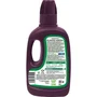 Fertiligene Engrais Liquide pour Plantes Vertes - NPK 7-3-5, 500 ml