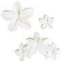 Cosmetic Club Jeu de 3 pinces pour cheveux modèles assortis