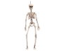 Décoration d'Halloween My Other Me 120 cm Squelette