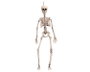 Décoration d'Halloween My Other Me 120 cm Squelette