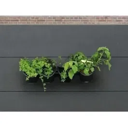 Nature Kit mural de jardinière, 4 pots amovibles 1 L avec système de drainage, support inclus, dimensions H 15 x L 60 cm, Noir pour intérieur et extérieur