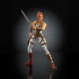 Mattel Figurine MOTU Chronicles Teela