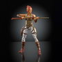 Mattel Figurine MOTU Chronicles Teela