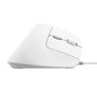 Souris Optique Ergonomique Trust Bayo II Blanc
