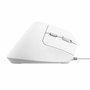Souris Optique Ergonomique Trust Bayo II Blanc