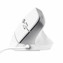 Souris Optique Ergonomique Trust Bayo II Blanc