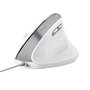 Souris Optique Ergonomique Trust Bayo II Blanc