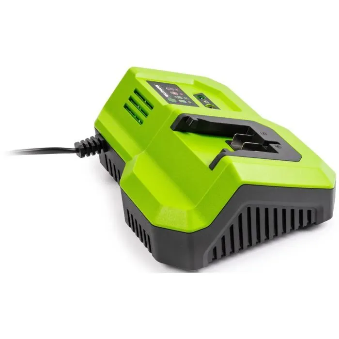 Fieldmann Chargeur rapide pour batterie 20V - Compatible modèles 2Ah, 4Ah, 8Ah - Charge 2Ah en 30 min