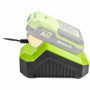 Fieldmann Chargeur rapide pour batterie 20V compatible 2Ah, 4Ah, 8Ah