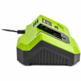 Fieldmann Chargeur rapide pour batterie 20V compatible 2Ah, 4Ah, 8Ah