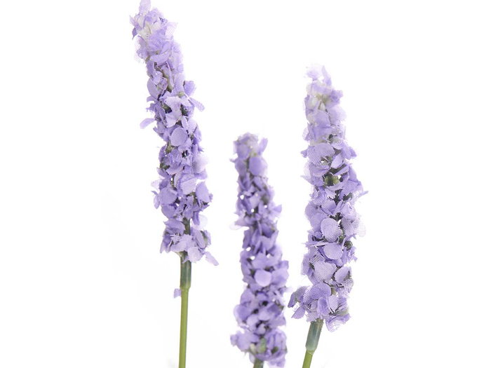 Ibergarden Ramillete Saco Lavande Surtis Couleurs 10x41x10 cm - Plastique et Rafia - Violet, Fuchsia, Violet Clair (Set de 6)