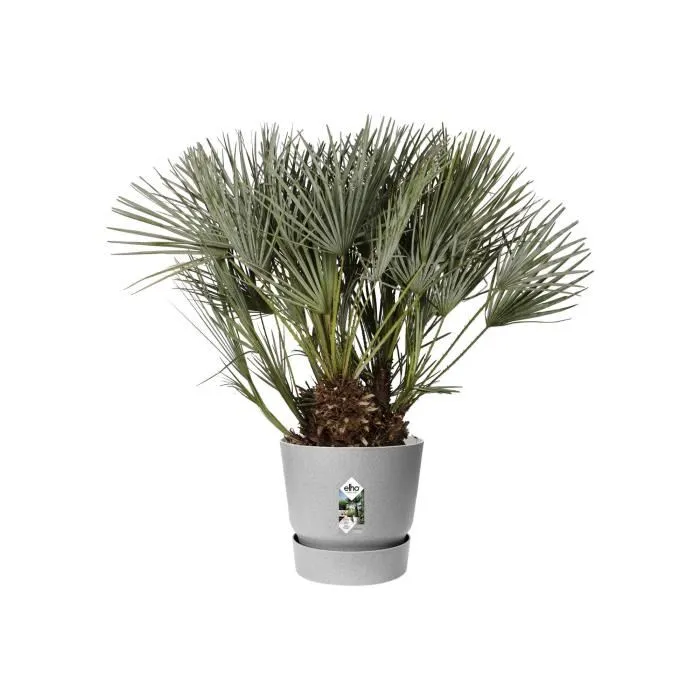 Elho Pot de fleurs extérieur rond Greenville 40 en plastique recyclé, Ø 39 x H 36,8 cm, résistant au gel avec réserve d'eau, gris béton vivant Elho Pot de fleurs extérieur rond Greenville 40 en plastique recyclé, Ø 39 x H 36,8 cm, résistant au gel avec réserve d'eau, gris béton vivant