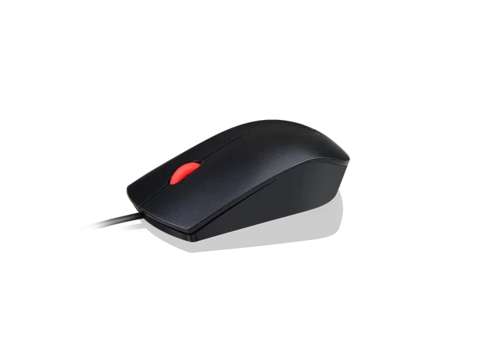 Lenovo Essential Souris Optique USB Noire 1600 DPI