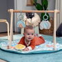Ingenuity Tapis d'éveil Sun Valley avec arche de jeu en bois