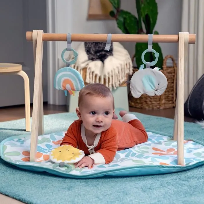 Ingenuity Sun Valley Tapis d'éveil bébé avec arche de jeu en bois pliable, 3 jouets amovibles - Tapis lavable - 0 à 36 mois