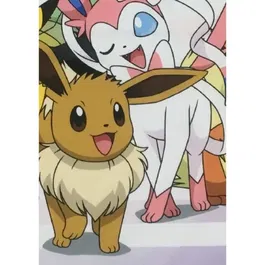 Pokémon Couverture plaid sherpa avec effigie, thème Evolutions, côtés polaire et imitation laine, 100 x 150 cm