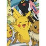 Pokémon Couverture Sherpa Évolutions 100 x 150 cm