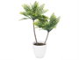 IBERGARDEN Maceta Planta Alta 2 Palmeras Verdes Vert-Blanco