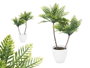 IBERGARDEN Maceta Planta Alta 2 Palmeras Verdes Vert-Blanco