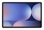 Samsung Galaxy Tab S10+ 12.4" 256 Go 12 Go RAM Tablette Tactile 5G Gris Octa-Core Android