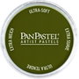 Panpastel 270.1 Amarillo Oxi Extra Sombre