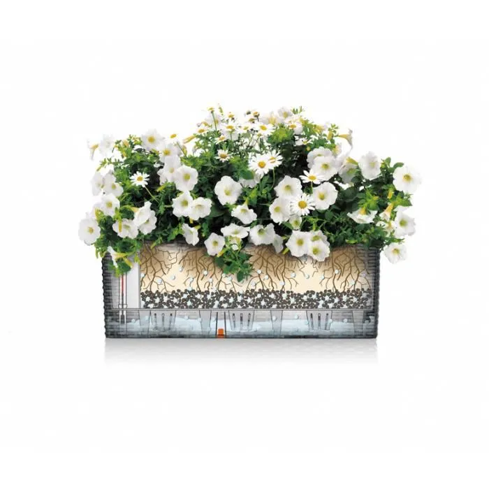 Lechuza Balconnière Balconera 50 - Jardinière muraille 50x19 cm en polypropylène - Marron - Intérieur et extérieur - Résistante aux UV et incassable avec système de drainage