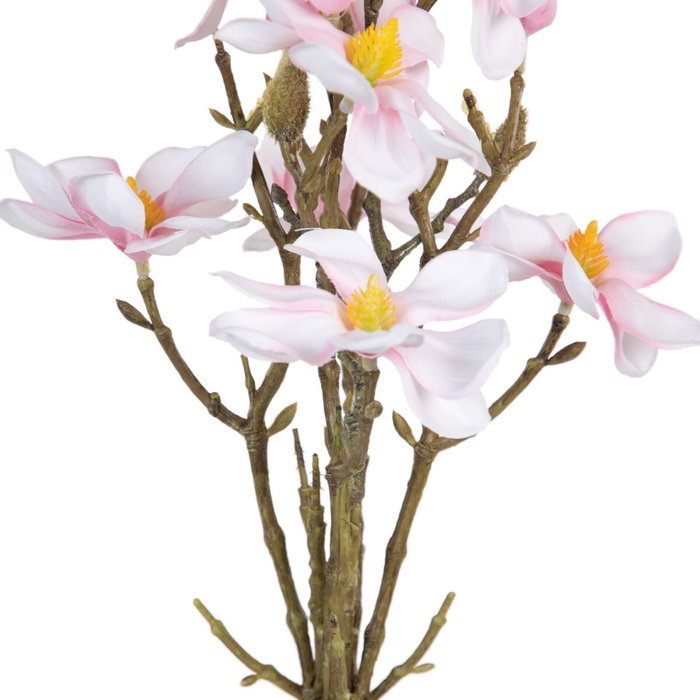 BigBuy Home Fleurs décoratives Magnolia Vert Rose