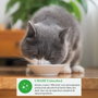 Inaba Dashi Delights Collation pour Chat Poulet 70 g