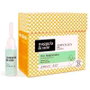 Nuggela & Sulé Pack Régénérateur Capillaire - 8 Ampoules de 10 ml