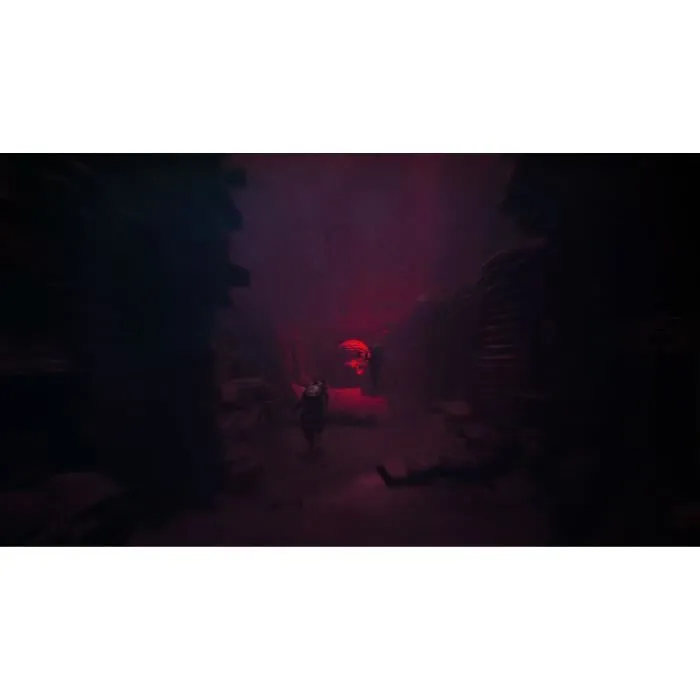 Just For Games - Reanimal Jeu d'Horreur et d'Aventure Coopératif sur PS5 - Version Blu-Ray