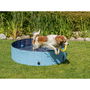 Piscine pour Chiens Trixie Bleu clair Ø 70 × 12 CM