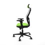 Piqueras y Crespo Chaise de Bureau Jorquera 2D036G2 Pistache