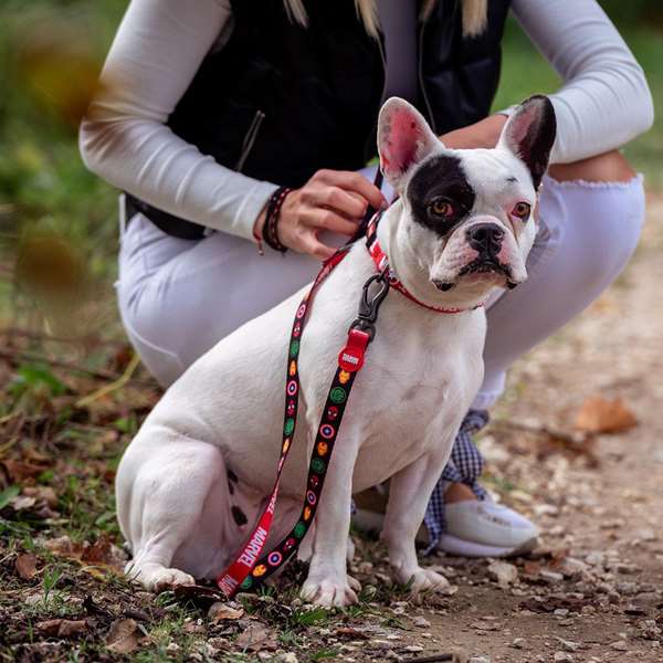 Cerdá Correa Premium para perros T3M:M Rouge - Taille M pour chiot et chien adulte - Corréa pour chien robuste
