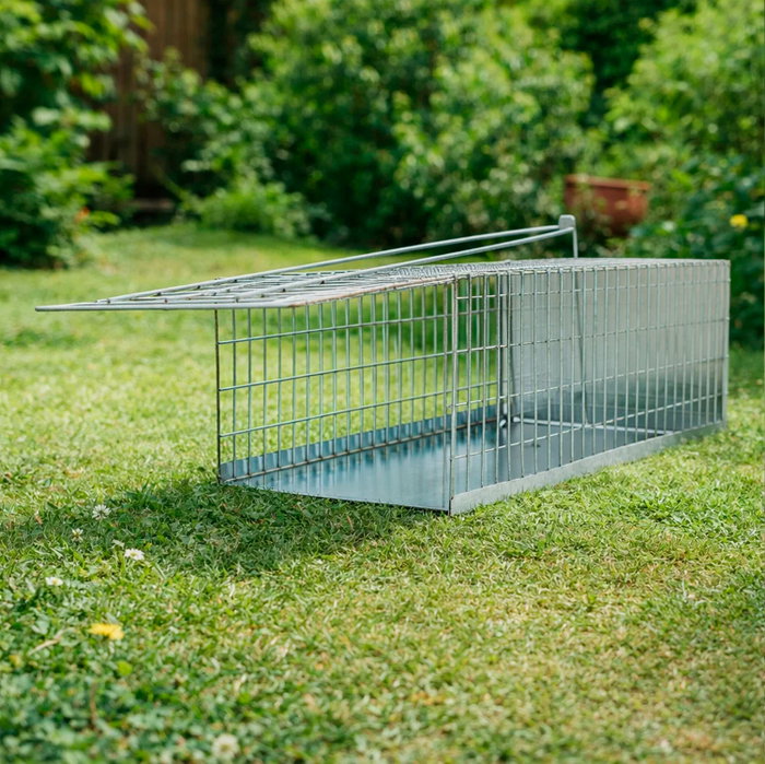 WOLFPACK LINEA PROFESIONAL Cage piège à rats en métal 30 x 17 x 11 cm WOLFPACK LINEA PROFESIONAL Cage piège à rats en métal 30 x 17 x 11 cm