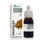 Soria Natural Extrait de Propolis Formule XXI 50 ml