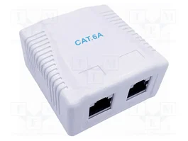 GEMBIRD Prise murale RJ45 double socle Cat 6a Cablexpert