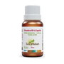 Sura Vitasan Vitamine B12 Liquide 15 ml