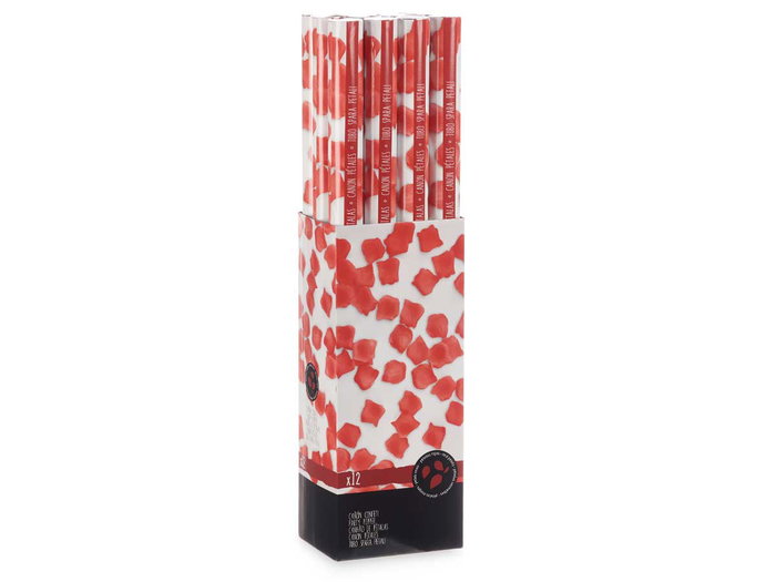 Arte Regal Canon à Confetti Pétales 80 cm Rouge (Set de 24)