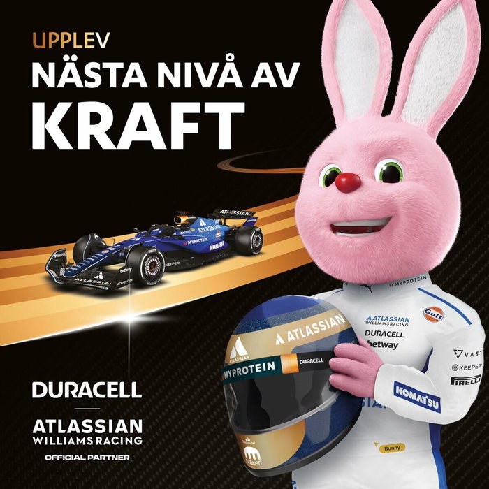 Piles Rechargeables DURACELL DPBLR3B12 1,5 V AAA