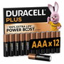 Piles Rechargeables DURACELL DPBLR3B12 1,5 V AAA