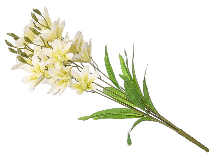 Ibergarden Vara 5 Branches 20 Fleurs Blanche 55cm Plastique (Set de 12)