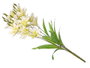 Ibergarden Vara 5 Branches 20 Fleurs Blanche 55cm Plastique (Set de 12)